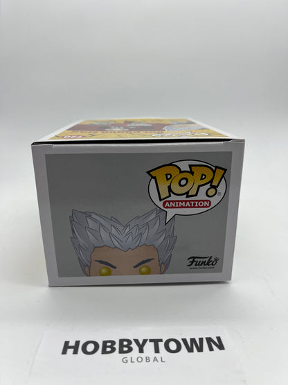 Funko POP! Animation: One Punch Man Garou #720 Collectible Vinyl Figure