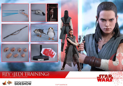 Hot Toys Star Wars: Rey (Training) 1/6 Scale Action Figure